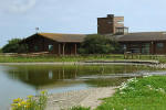 Wexford Wildfowl Reserve