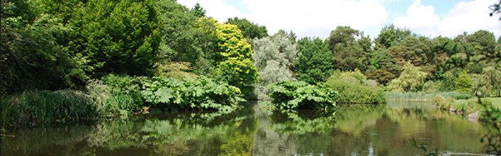 John F Kennedy Arboretum, Wexford