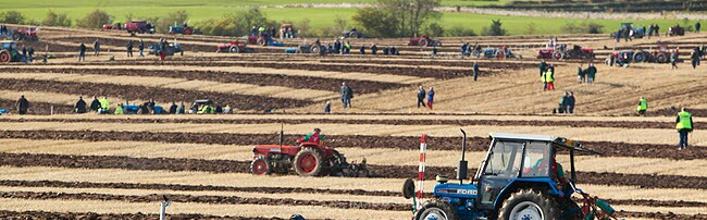 National Ploughing Championships 2022, Sport & Culture, location of National Ploughing Championships 2022 with map in