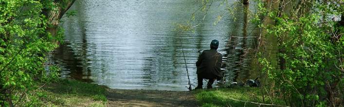 Dungarvan Bay Charter Boats, Angling, location of Dungarvan Bay Charter Boats with map in